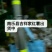 白心红薯大量上市沙土地种植口感甜软面