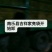 白心红薯大量上市沙土地种植口感甜软面