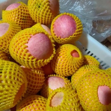 正宗陕西纸袋红富士，皮薄肉脆，脆甜多，