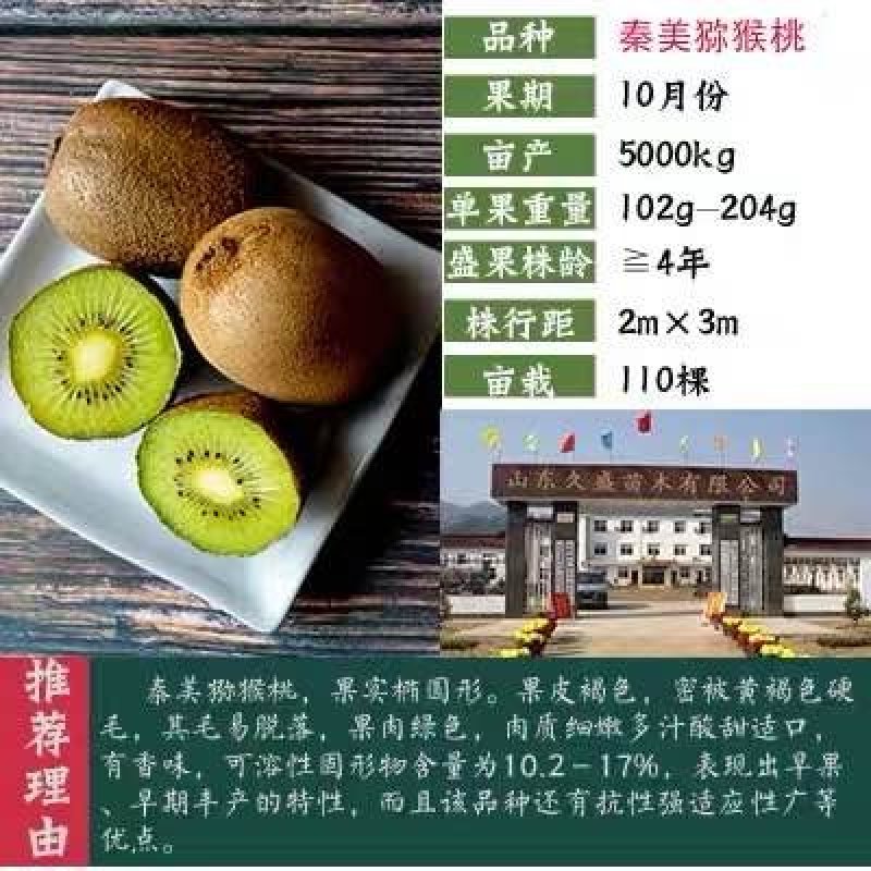 猕猴桃苗，猕猴桃苗，提供技术，欢迎选购包邮包活