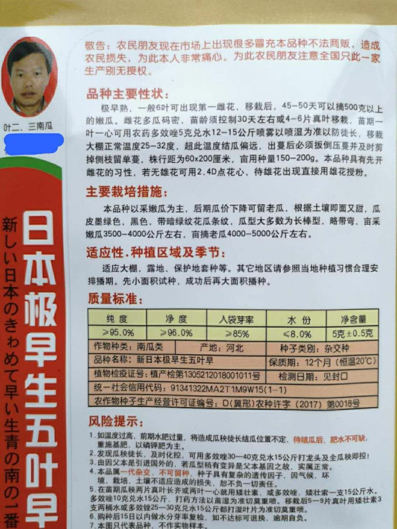 日本极早生五叶早南瓜种子四季菜瓜大田青南瓜籽