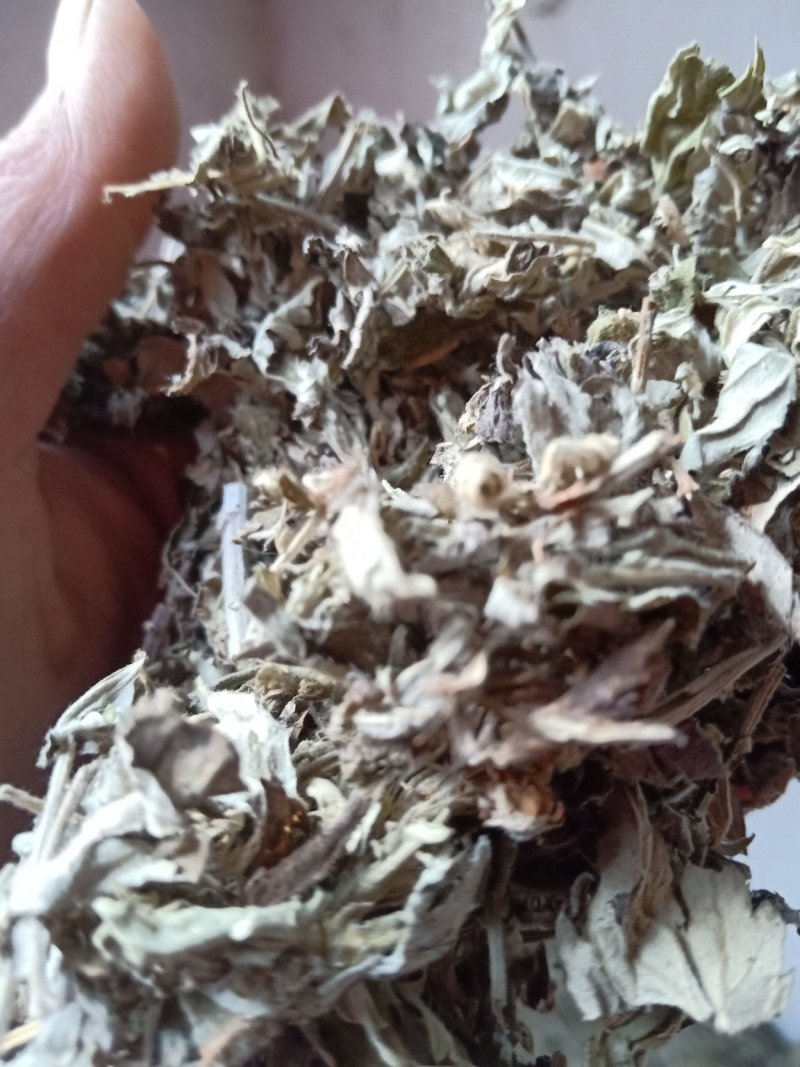 艾叶全棵切片头茬艾前期货欢迎釆购！！！一手货源