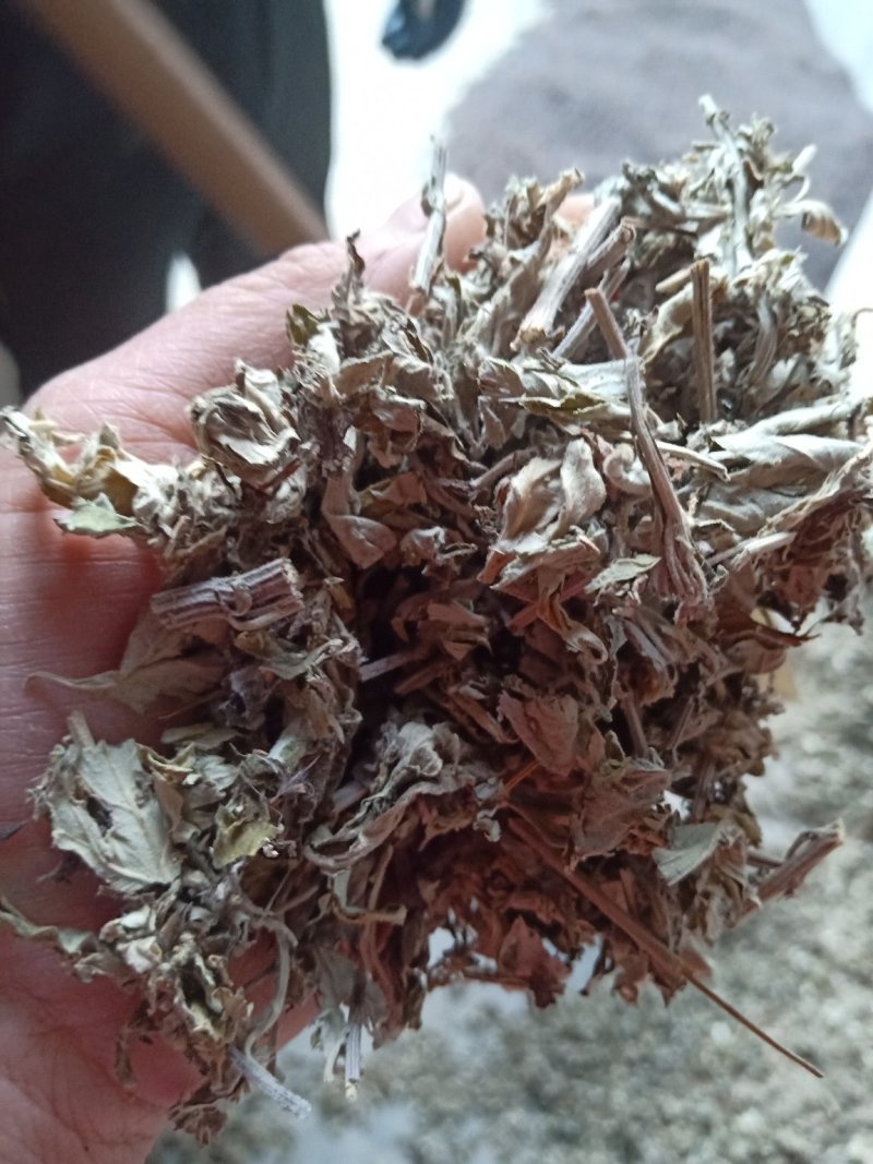艾叶全棵切片头茬艾前期货欢迎釆购！！！一手货源