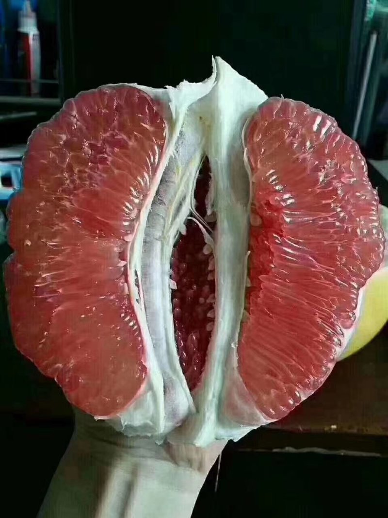 泰国红宝石柚泰国青皮柚三红蜜柚只做正品