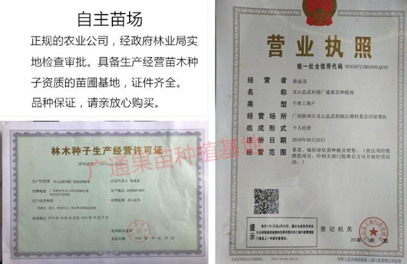 泰国红宝石柚泰国青皮柚三红蜜柚只做正品