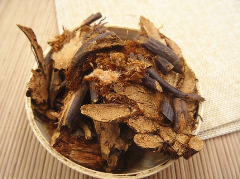 绵马贯众贯众绵马鳞毛蕨贯节贯渠包邮