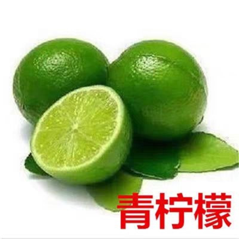 盆栽地栽嫁接果树苗香水柠檬苗南方北方种植柠檬当年结果柠檬