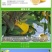 盆栽地栽嫁接果树苗香水柠檬苗南方北方种植柠檬当年结果柠檬