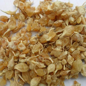 薤白两斤包邮薤白野薤野葱薤白头野白头菜芝野蒜