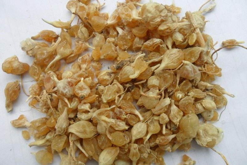 薤白两斤包邮薤白野薤野葱薤白头野白头菜芝野蒜