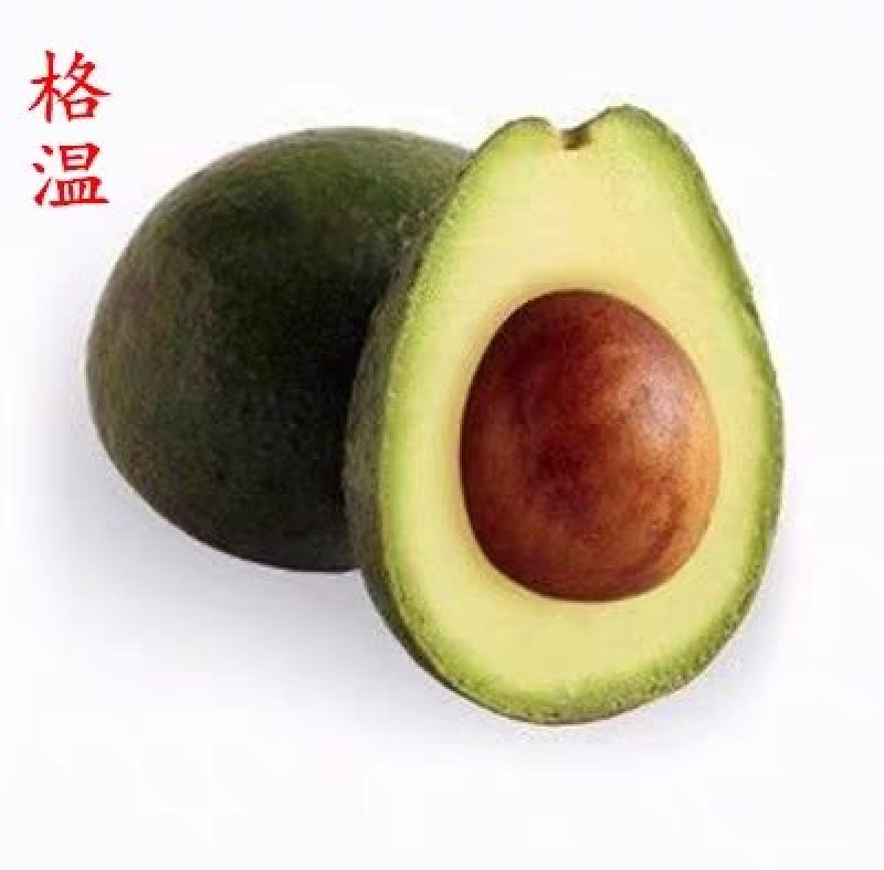 墨西哥牛油果树苗南方北方种植嫁接鳄梨苗当年结果庭院盆栽