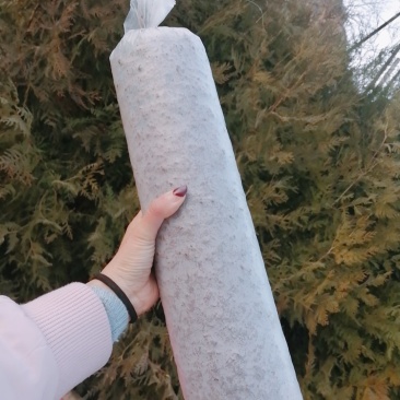 香菇菌棒出售