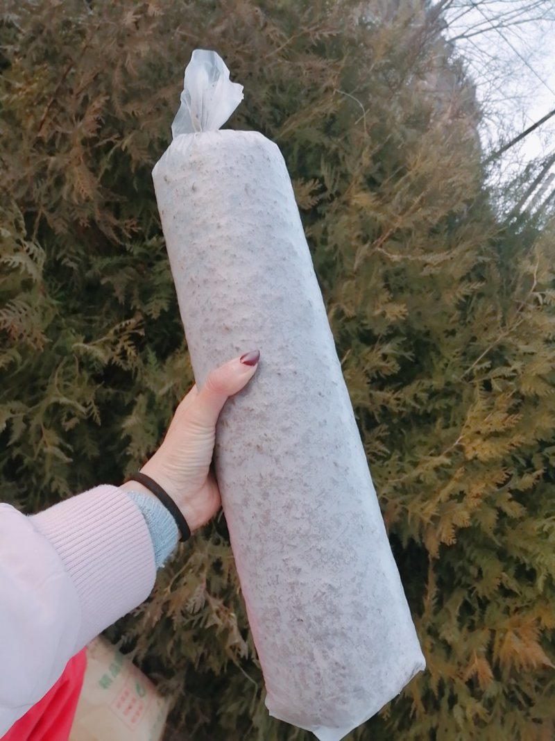 香菇菌棒出售