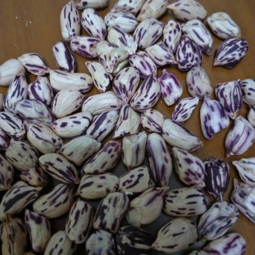 七彩花生米。