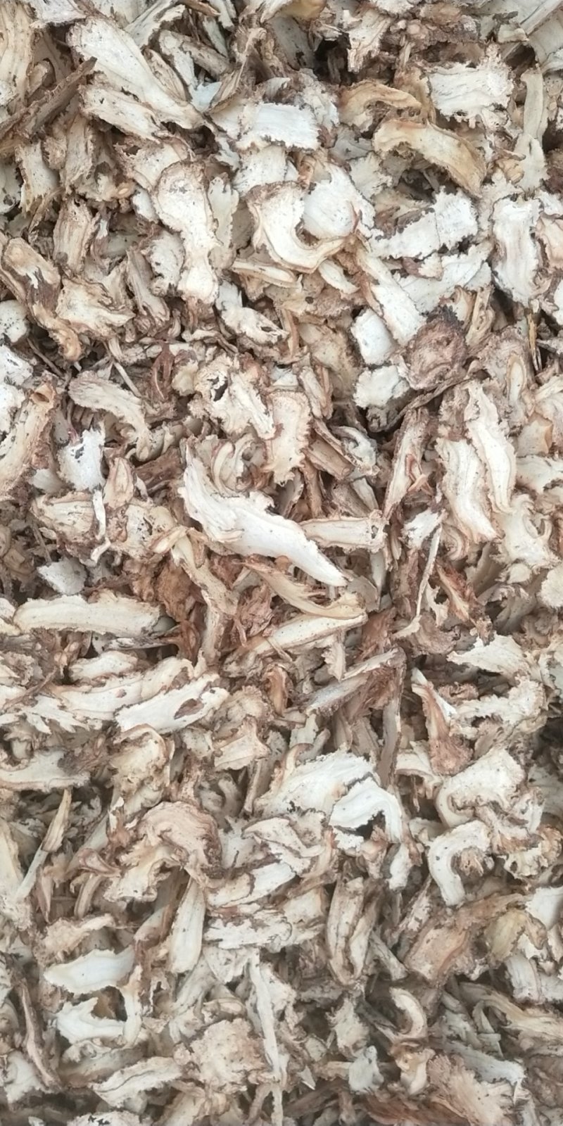 当归好货原产地供应长期保障品质有保证