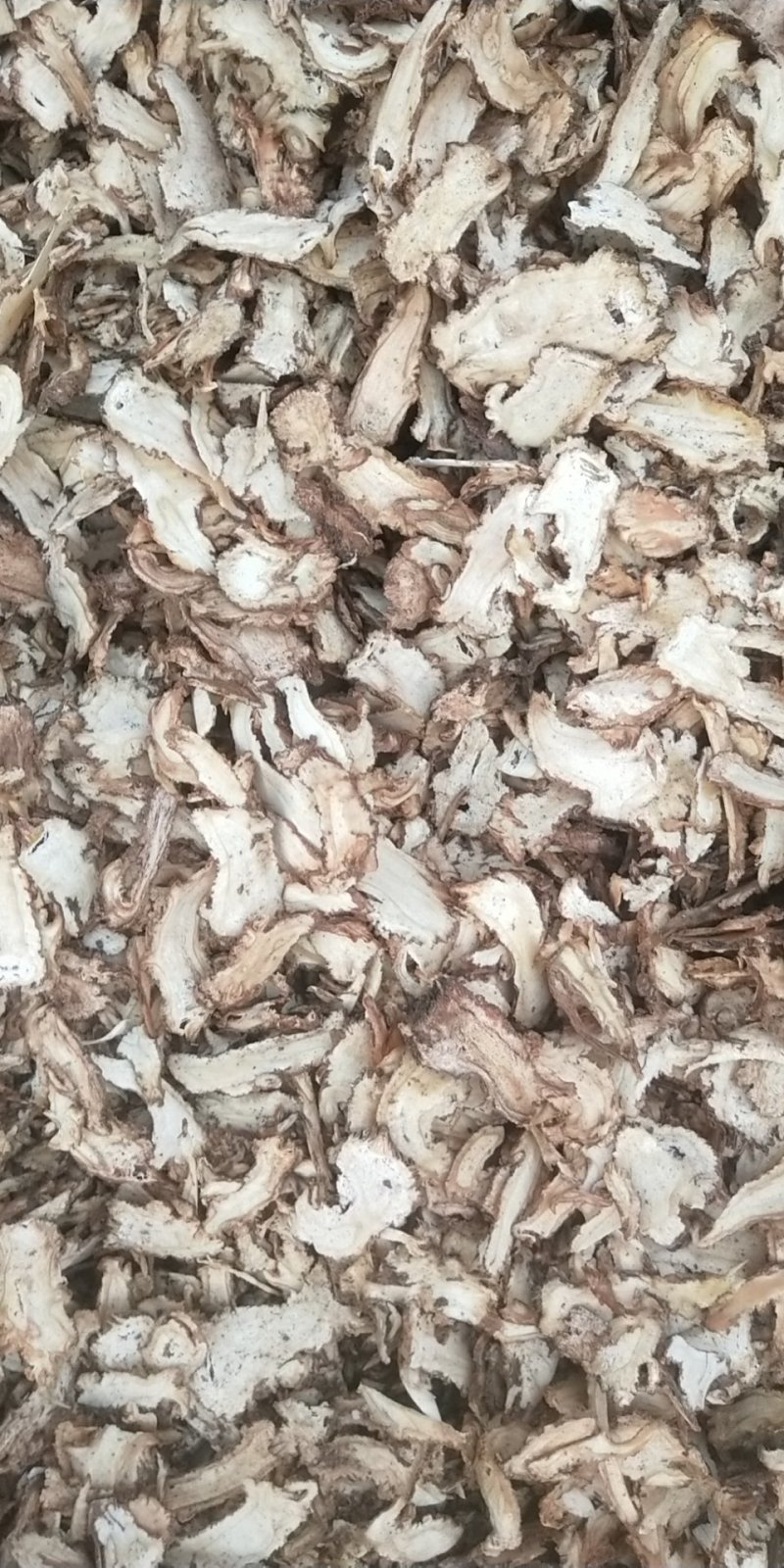 当归好货原产地供应长期保障品质有保证
