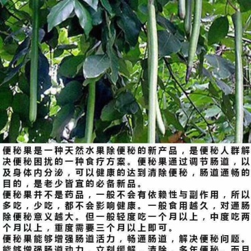 便秘果