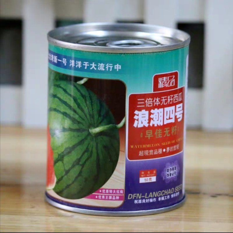 高产无籽西瓜种子浪潮四号红瓤三倍体无子花皮大果型春季早佳