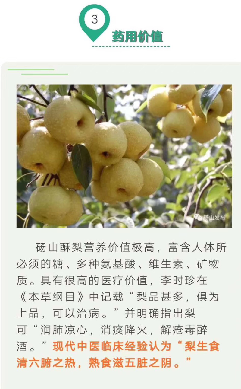 砀山县秋月梨酥梨，基地直采直销，货源稳定供货，支持出口
