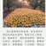 砀山县秋月梨酥梨，基地直采直销，货源稳定供货，支持出口