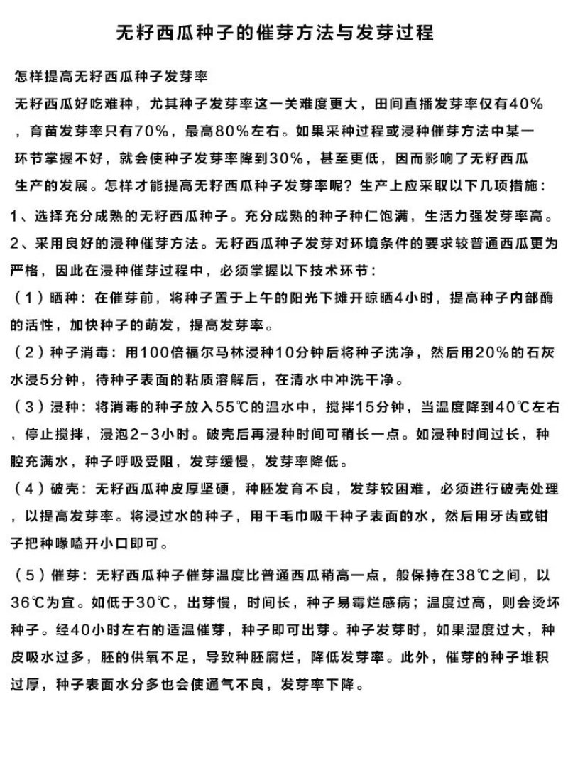 浪潮二号高产无籽西瓜种子黑皮红瓤甜大果型三倍体无子四季播