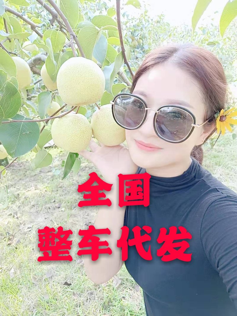 安徽砀山酥梨(商超，电商批发市场)冷库预冷全国发货