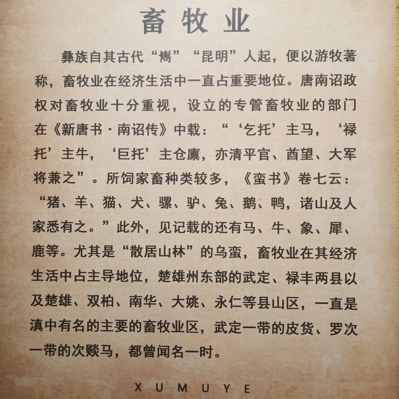 云南彝族黑山羊50斤以上公羊母羊包运输可到付（详询）