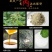 贵州威宁特产无糖荞酥无糖糕点三高人群糖尿病人食品