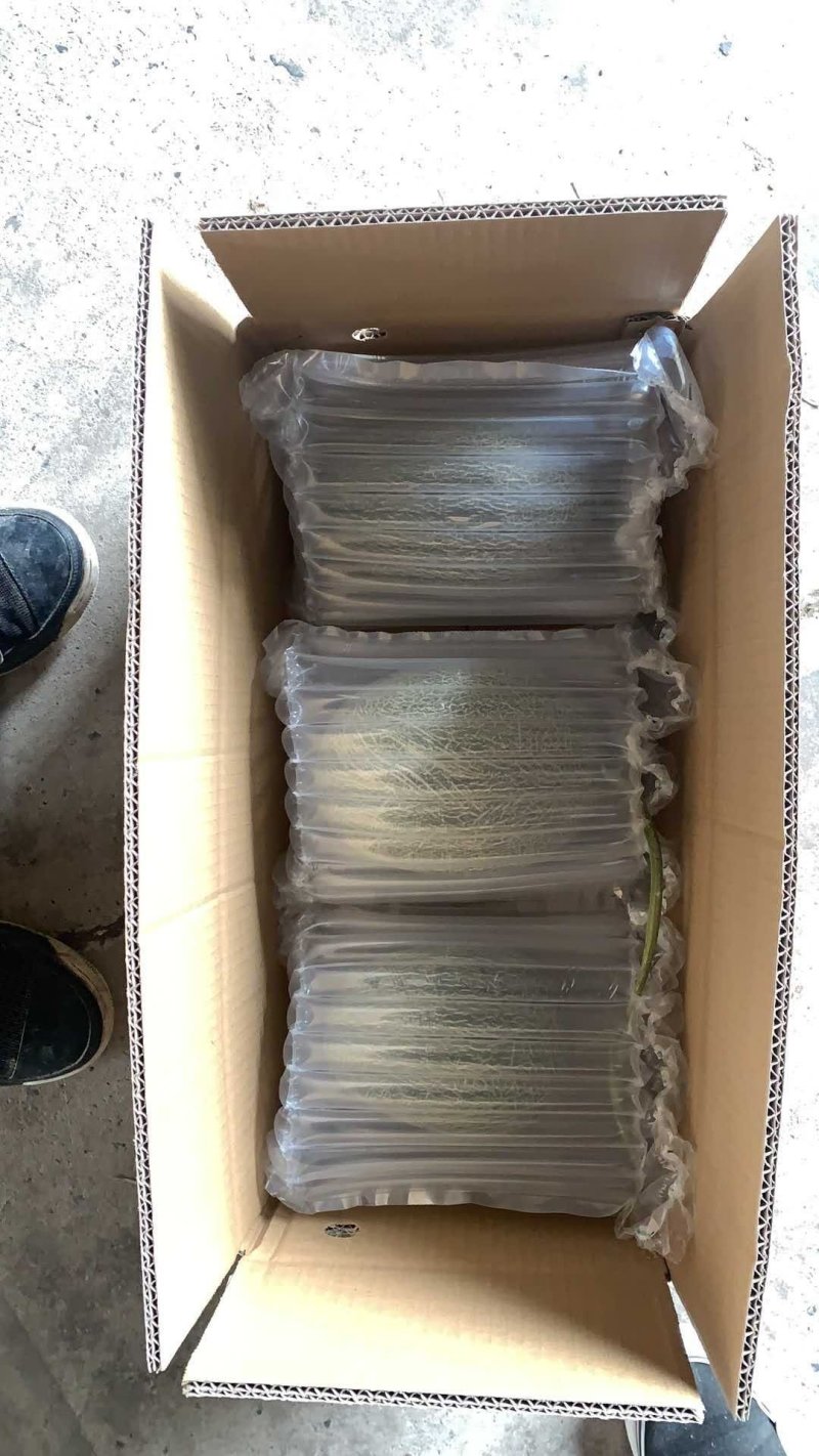 晓蜜25西洲蜜二五山东甜瓜，价格便宜，脆甜爽口，耐运输