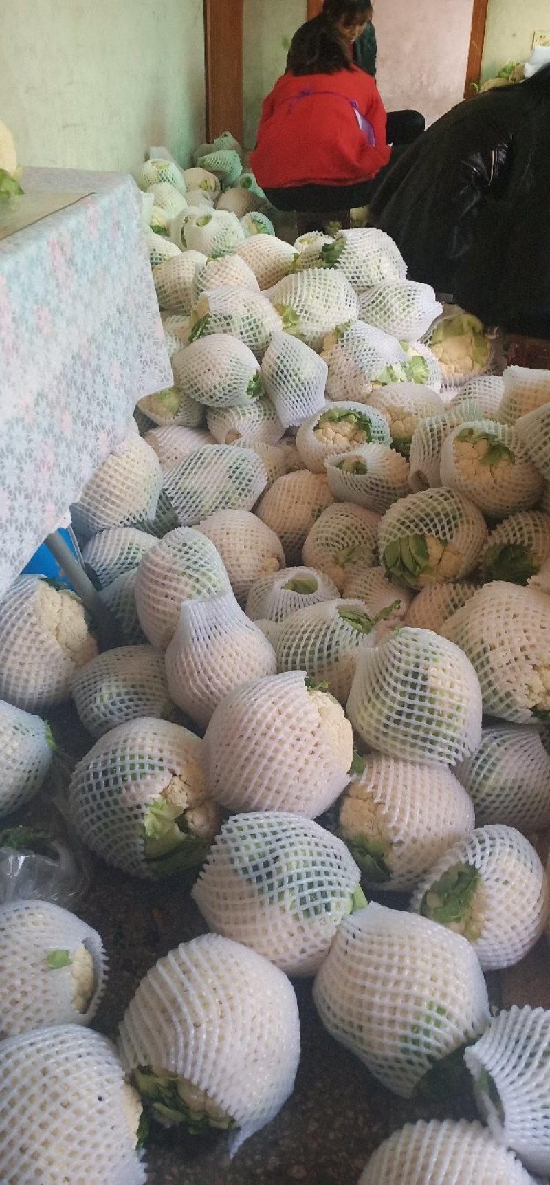 花菜，花色乳白，质量有保证