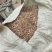 大量出售金银花叶子，有杀青的，有晒干的，有分捡的