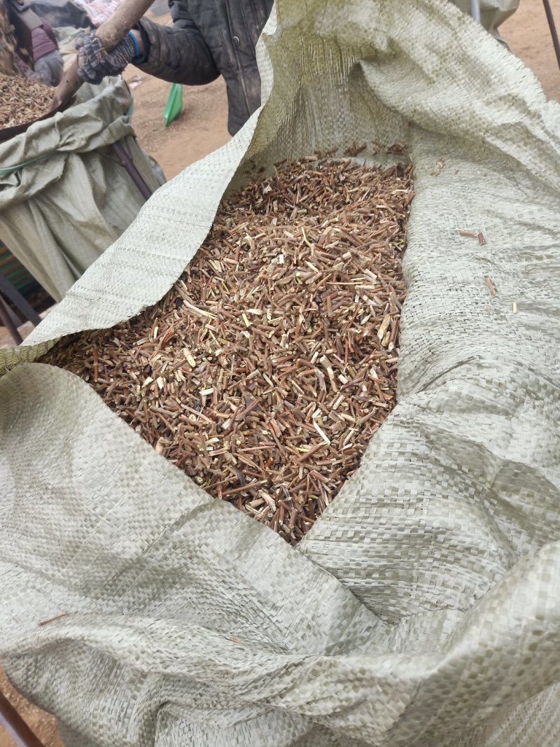 大量出售金银花叶子，有杀青的，有晒干的，有分捡的