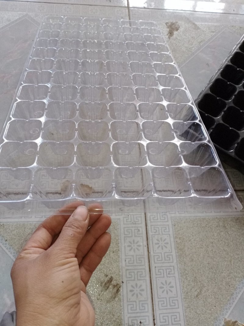 【热卖】中厚穴盘全国物流包邮。32穴50穴72穴105穴