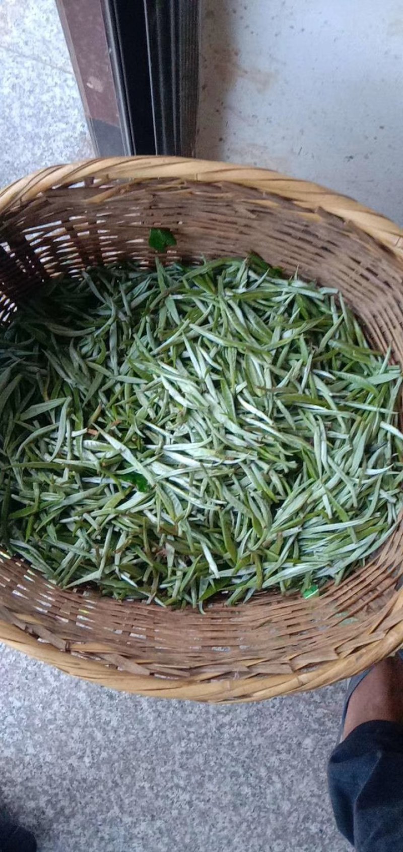 普洱茶滇红茶手工滇红金芽250g
