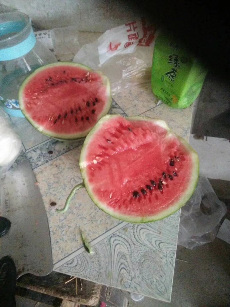 美都嘉年华，京欣，，8424黑子，无子产地直供，一手货源