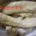 野生苦笋处理好的