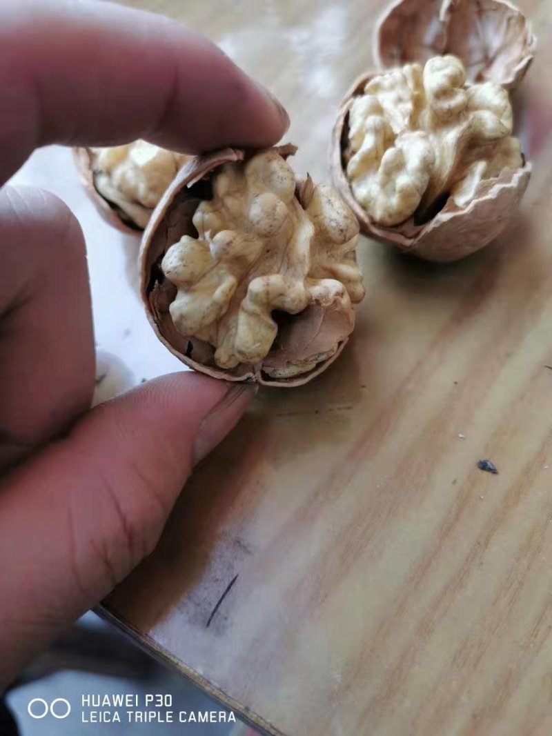 汾阳礼品核桃普通核桃