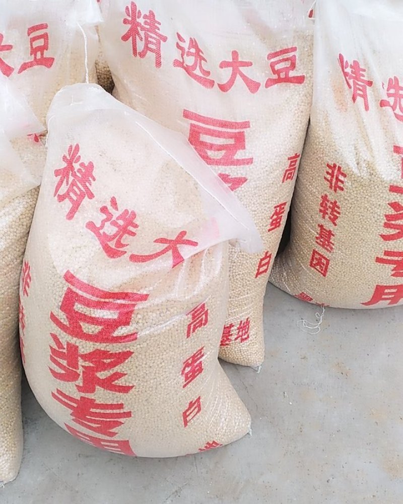 黄豆粉（熟）精选大量批发工厂直销诚信经营量大从优
