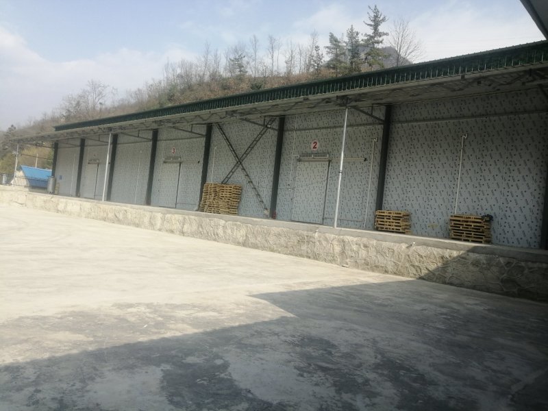 冷库设备冷库安装冷库维修维修销售成套冷库设备