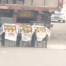 山西代卖海南广东菠萝！缺货缺货菠萝！荔枝