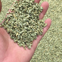茶叶：微山湖荷叶茶厂家直销长期大量供货一手货源