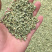茶叶：微山湖荷叶茶厂家直销长期大量供货一手货源