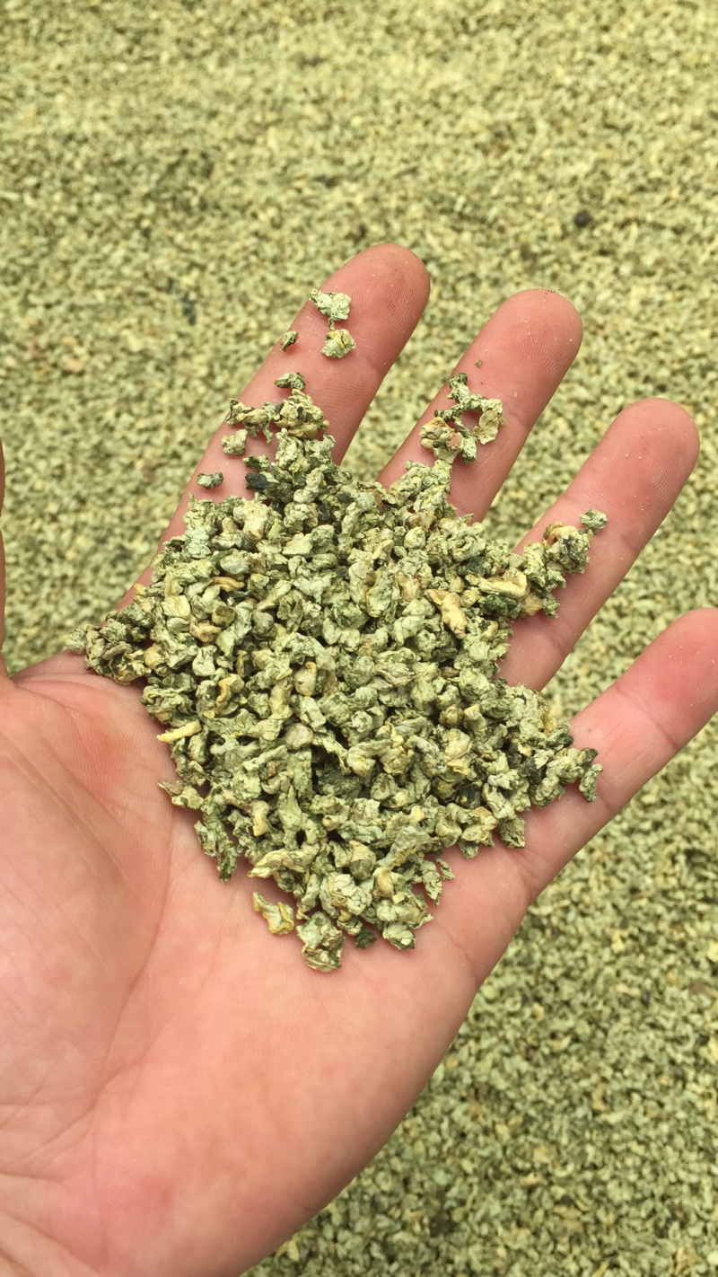 茶叶：微山湖荷叶茶厂家直销长期大量供货一手货源