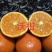 【热卖】重庆开州沃柑诚信代办量大质优欢迎致电