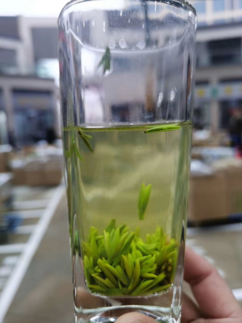 高山茶产地直销