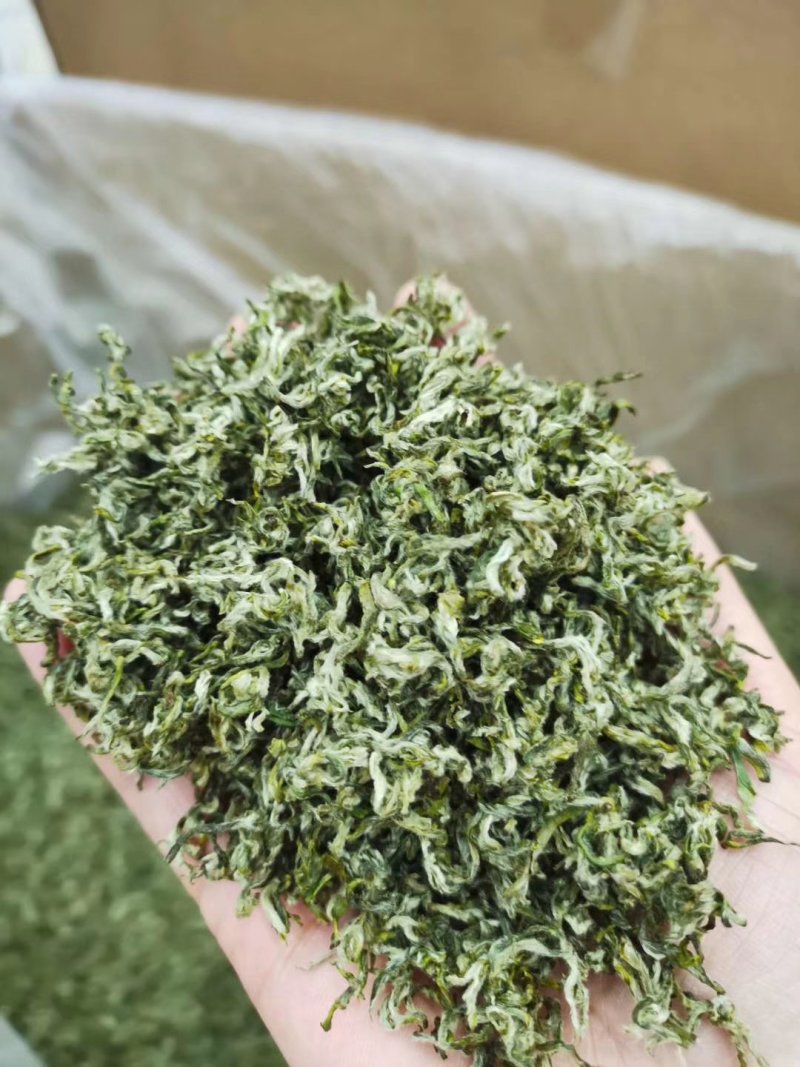 高山茶产地直销