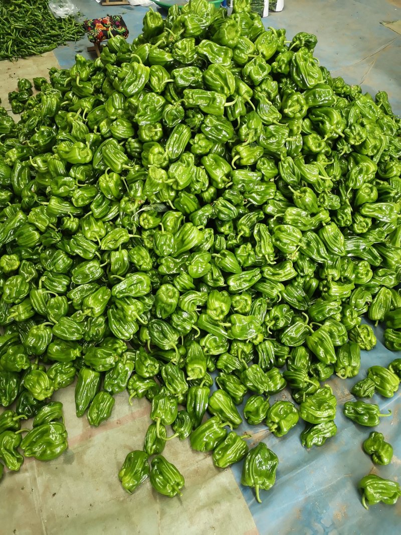 麻辣椒