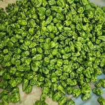 麻辣椒