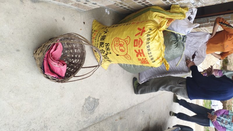 优质农户水烫无硫大红果，百家果，精品。