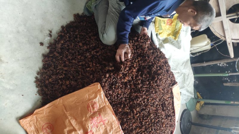 优质农户水烫无硫大红果，百家果，精品。